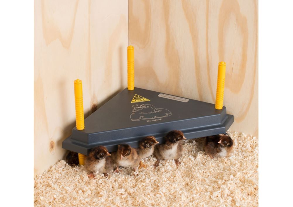 Broeden en grootbrengen