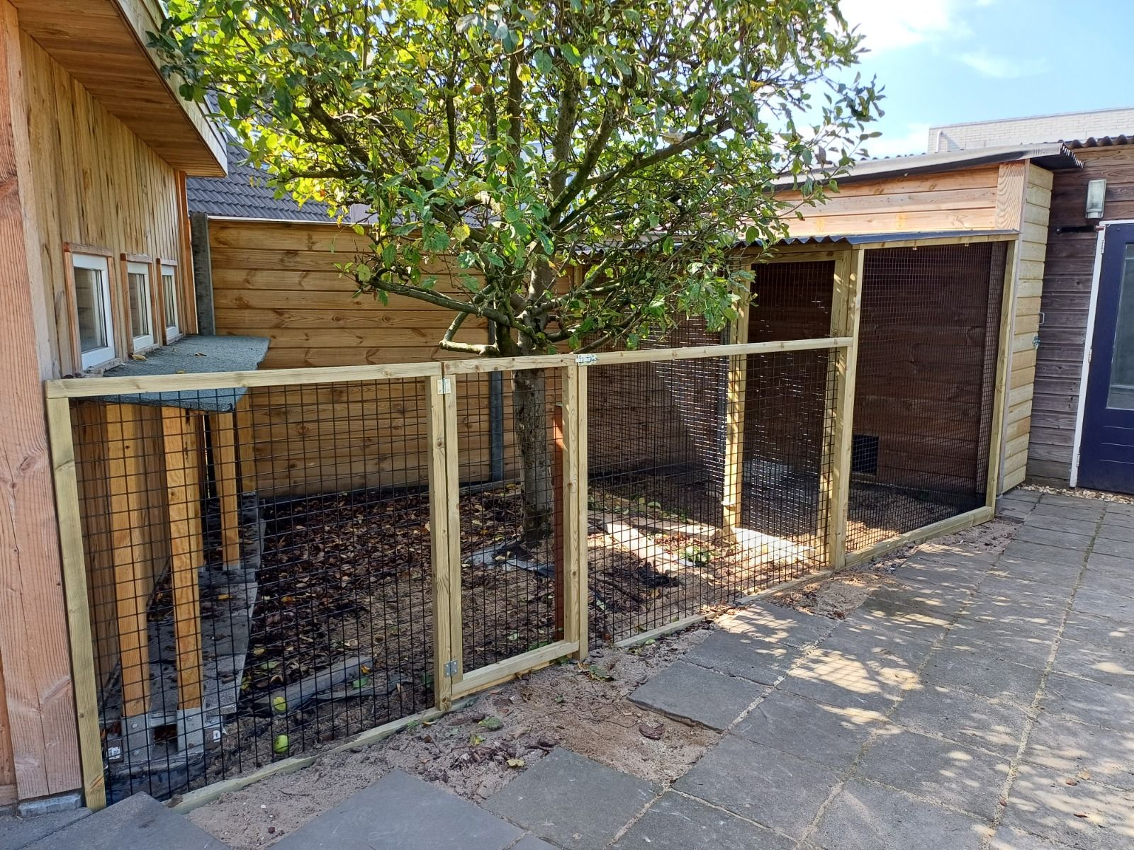 Kippenren Alphen a/d Rijn