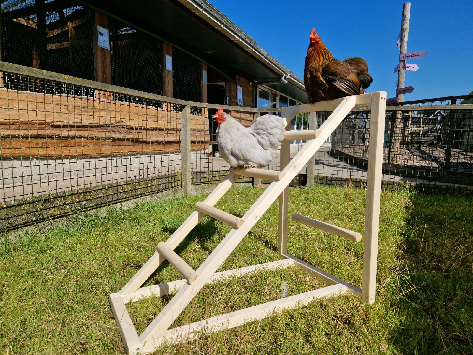 Kippenklimtoestel Deluxe