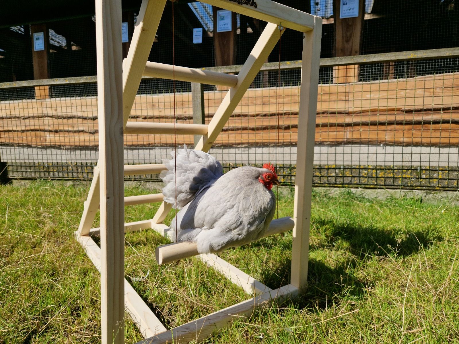 Kippenklimtoestel Deluxe
