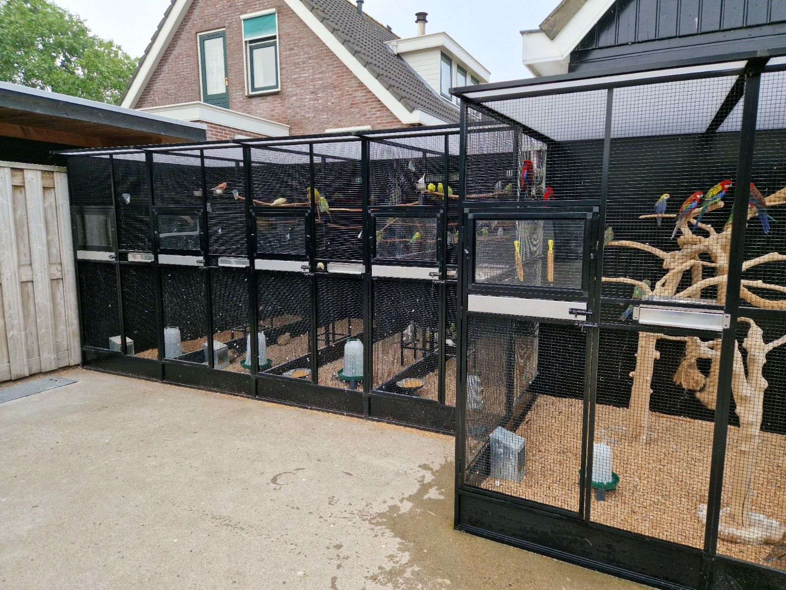 Showvolières Stolwijk