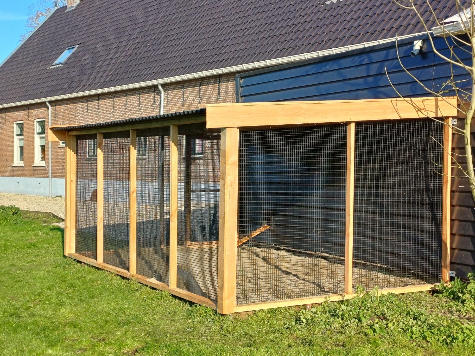 Kippenren XXL Berkenwoude