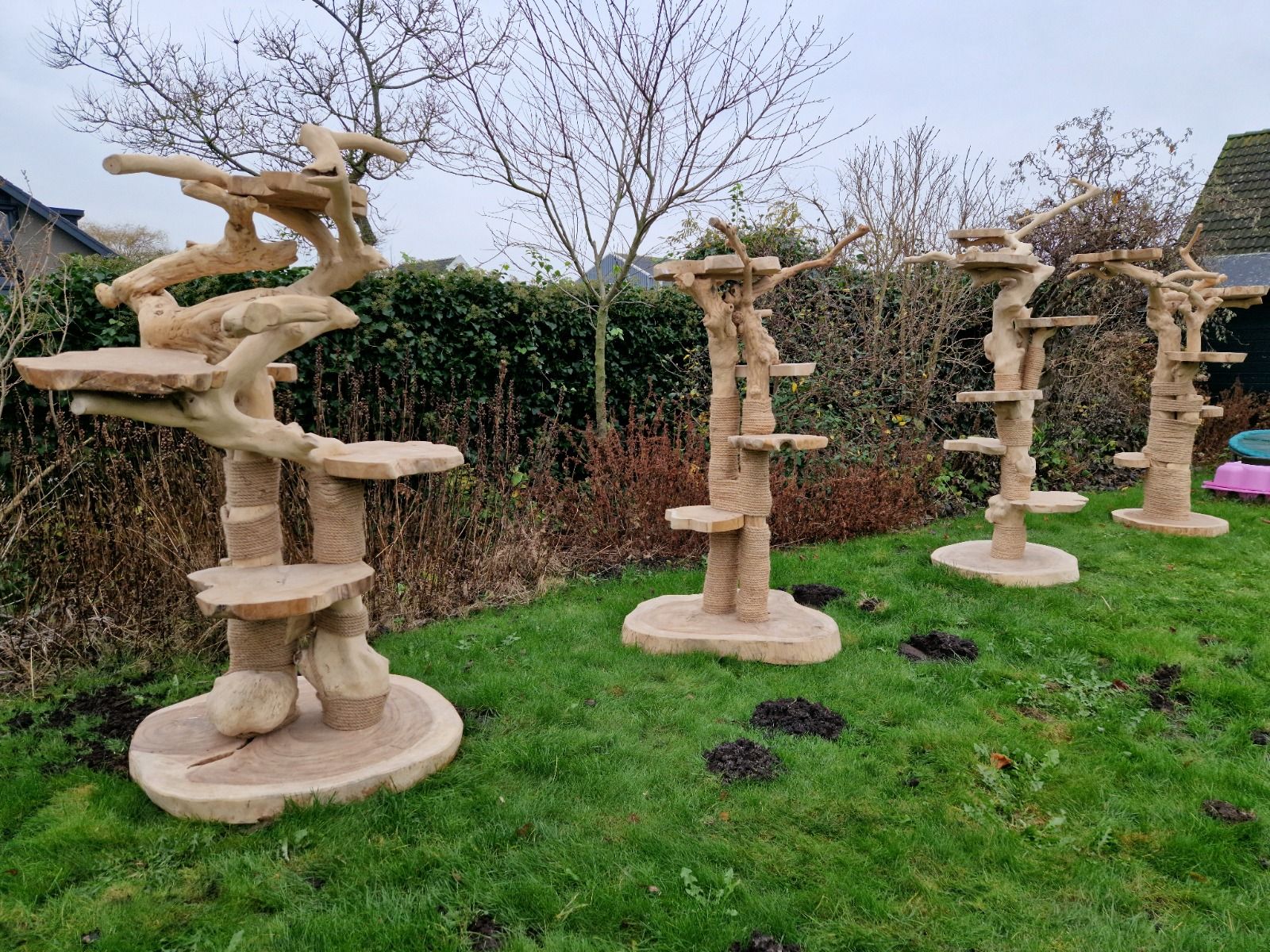 Javaboom met plateaus L