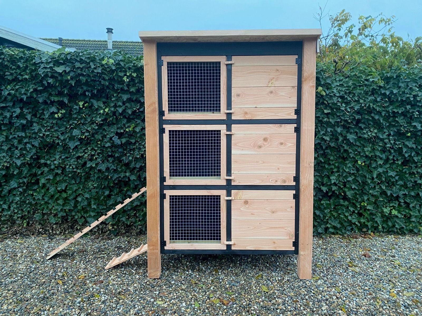 Konijnenflat douglas
