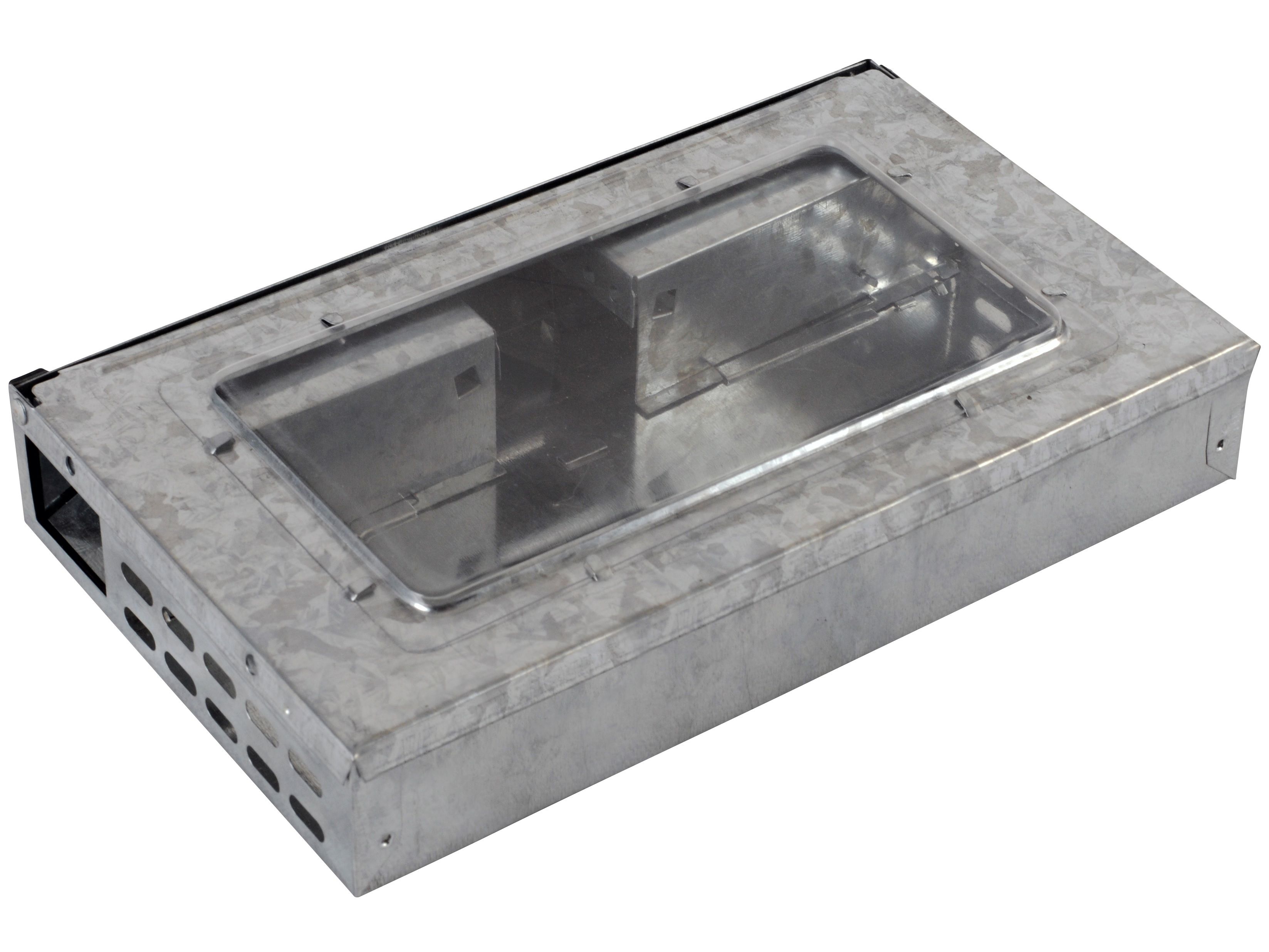 'Amerikaanse' muizenval