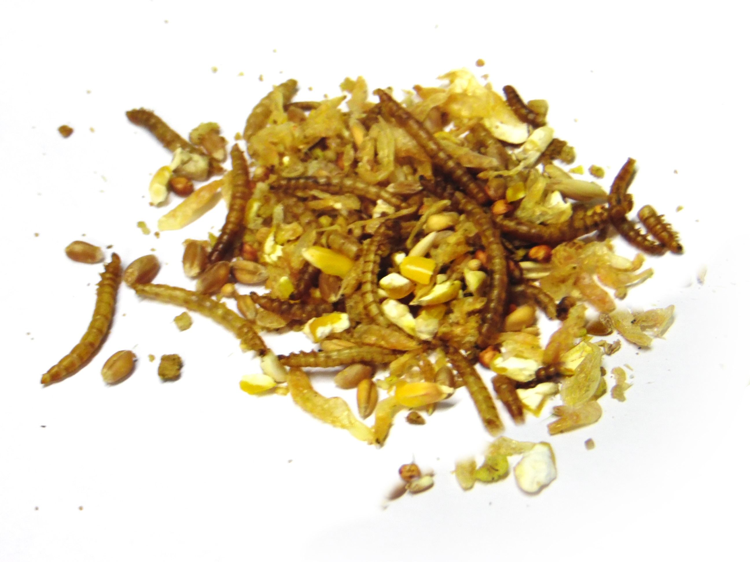 Kippenfestijn Energymix