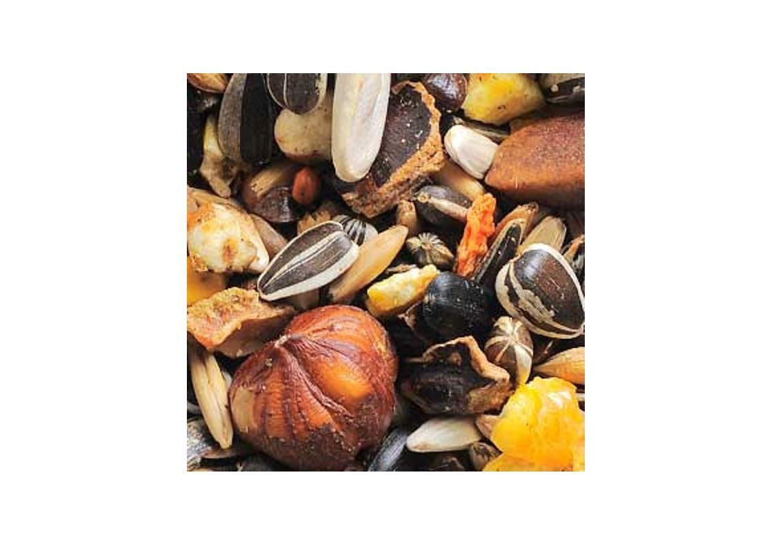 Volledige voeder voor eekhoorns