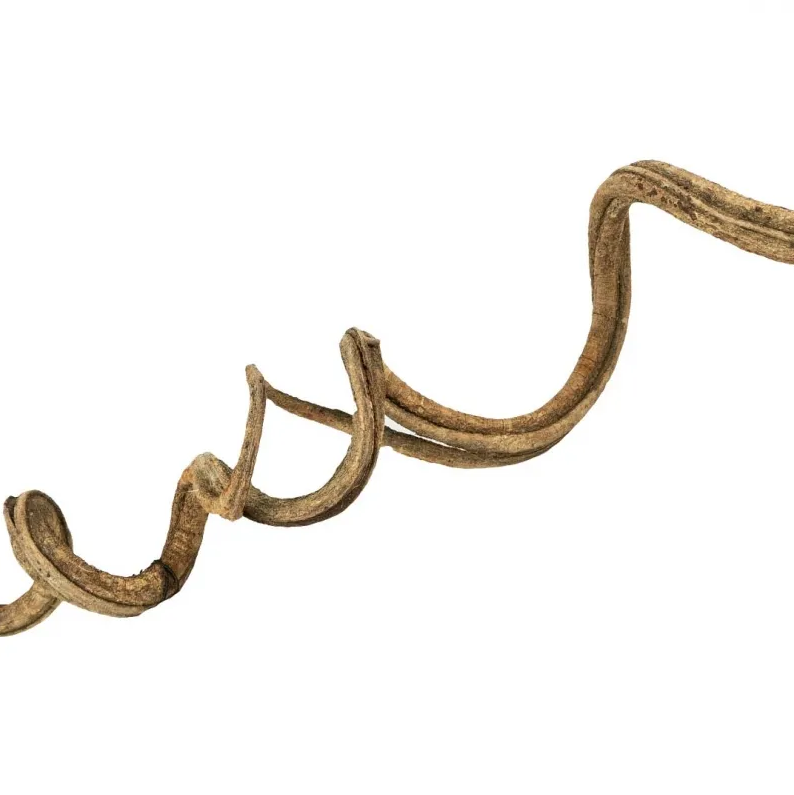 Back Zoo Nature Liaan Manila 