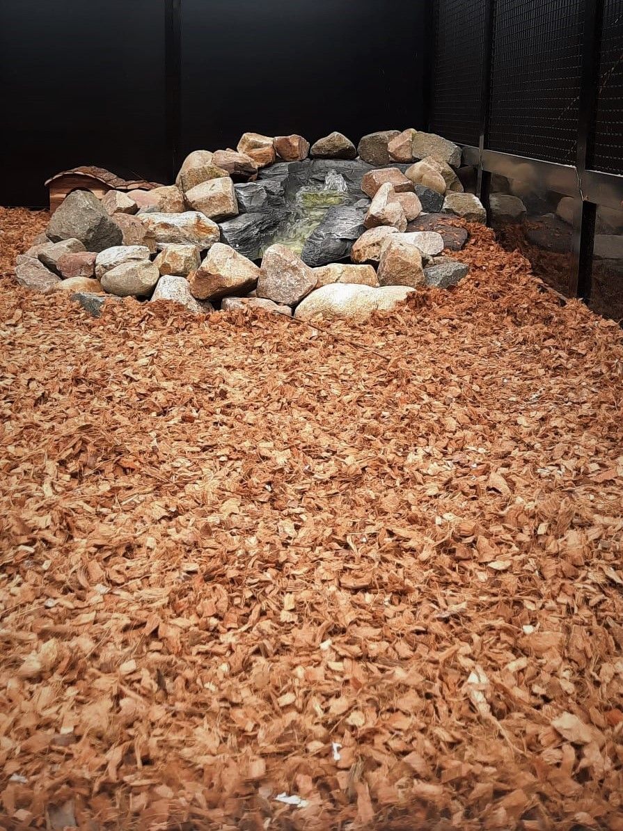 Bodembedekking Exotic Kokos