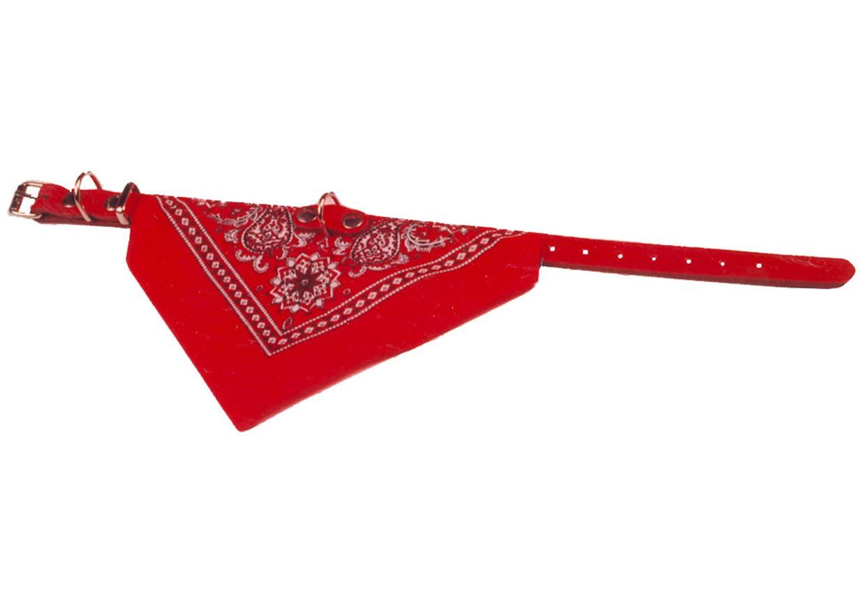 Boon Dog fashion halsband met zakdoek, rood