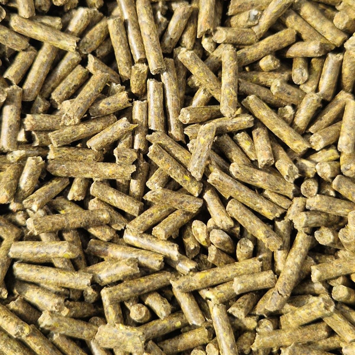 Caviakorrel Met Vit. C