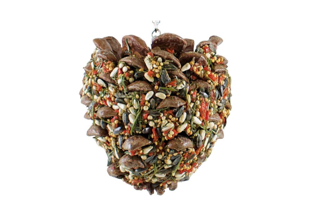 Denneappel met zaden 