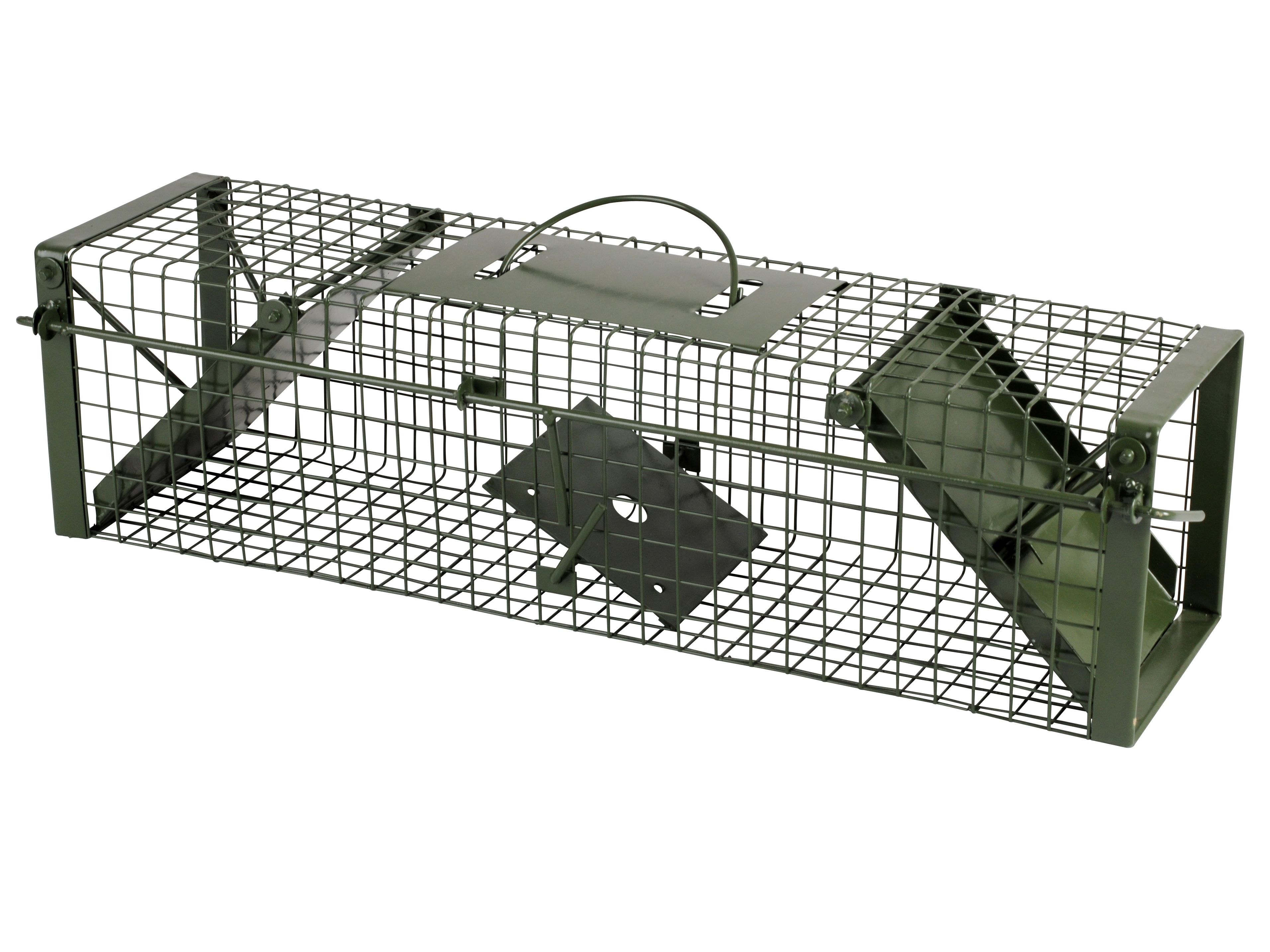 Doorloopval groen 60 cm dicht