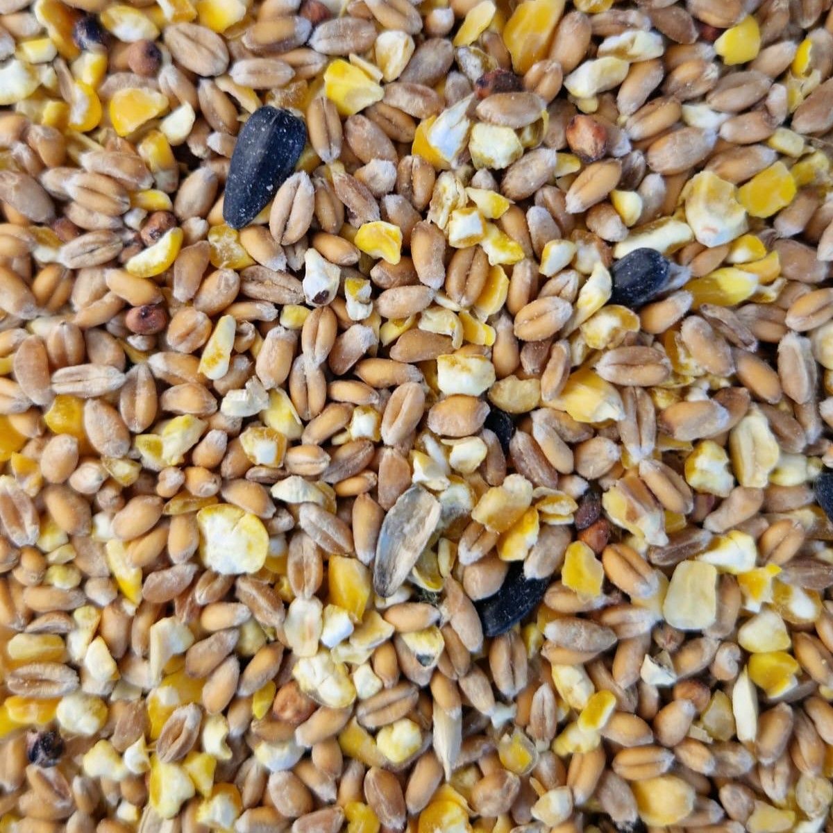 Gemengd graan 2,5l / 5l 