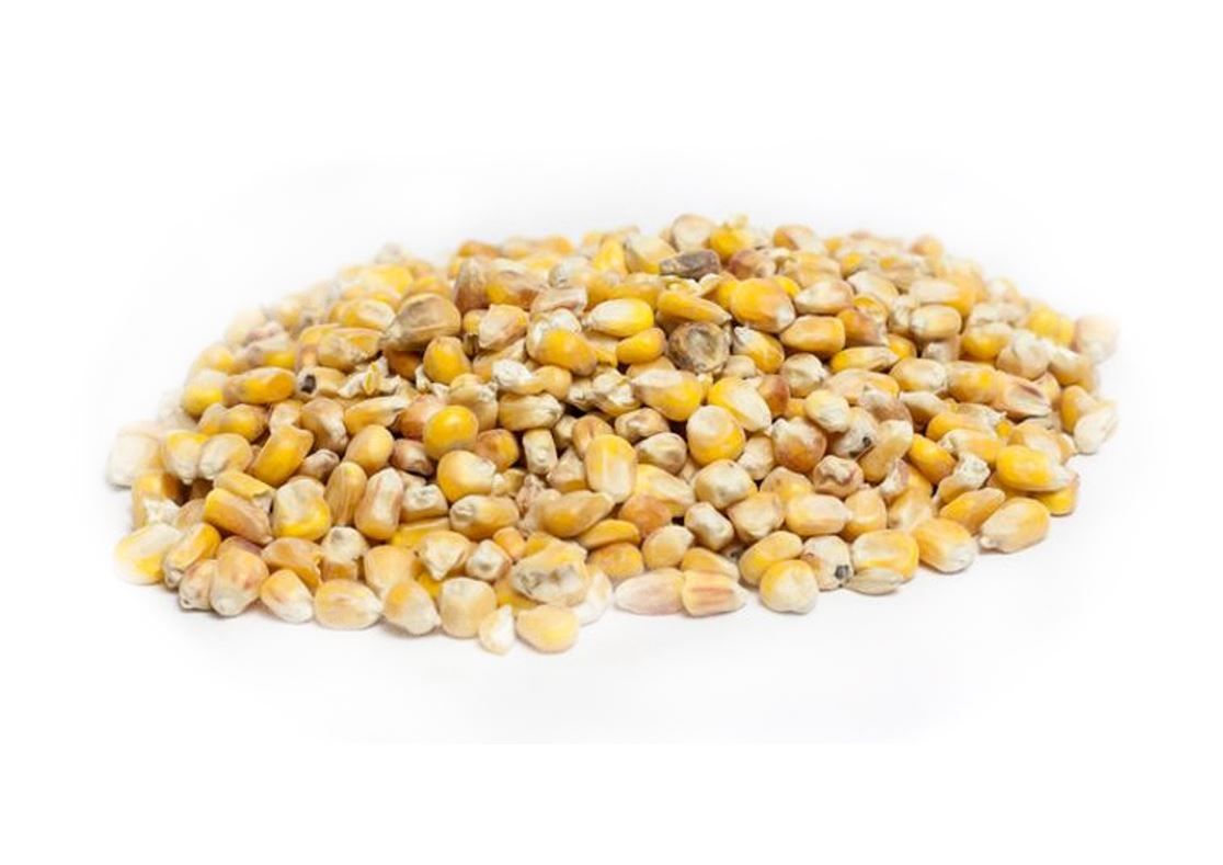 Mais Geschoond 20Kg