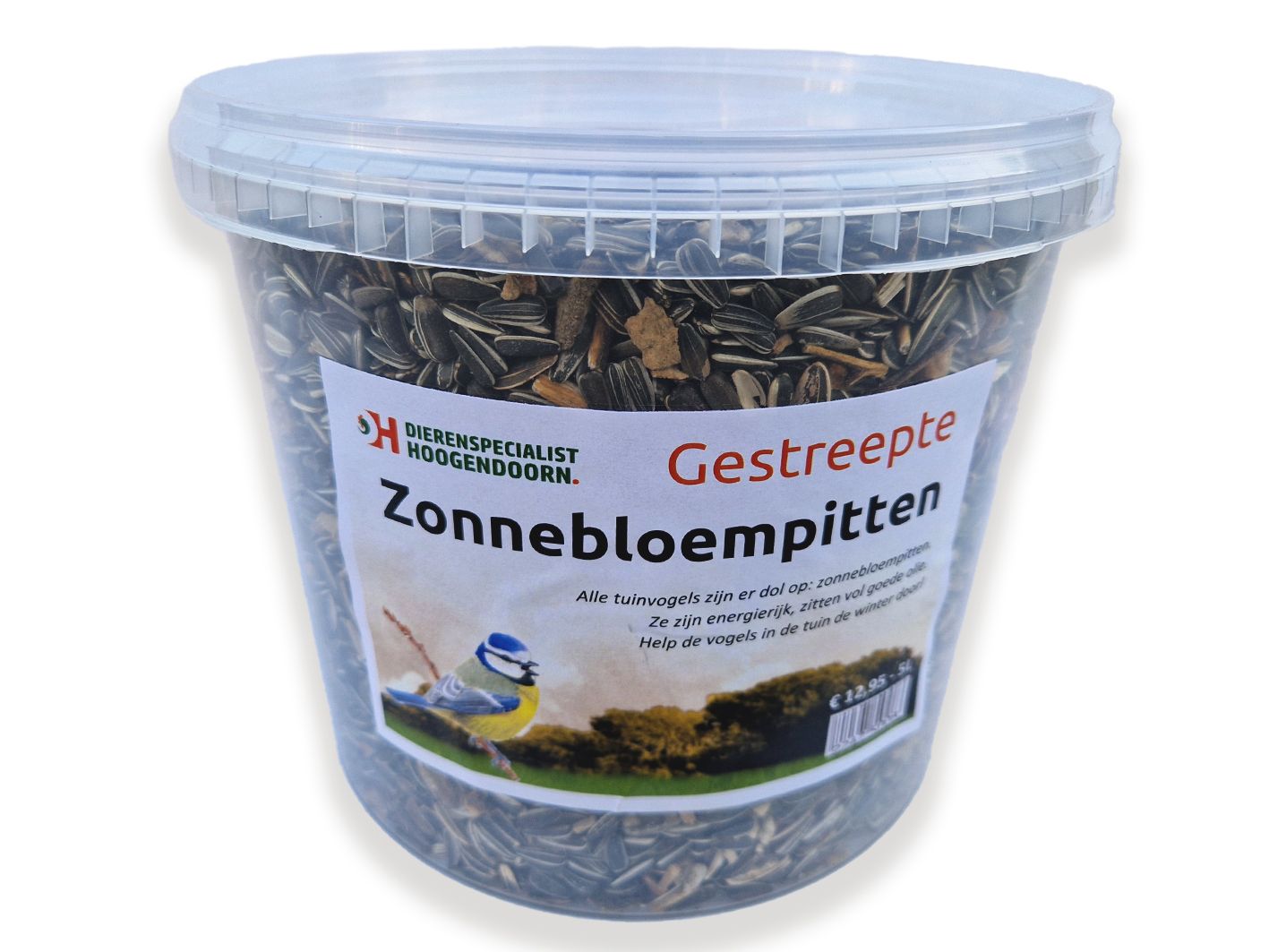 Zonnebloempit Gestreept