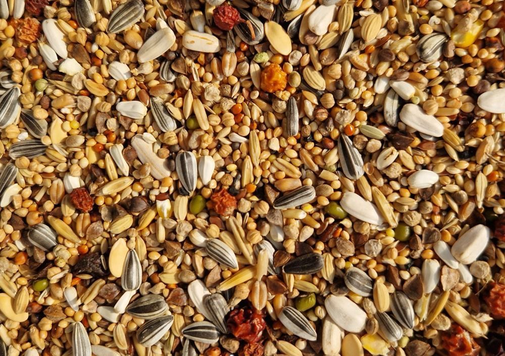 Premium parkietenmix 20 kg