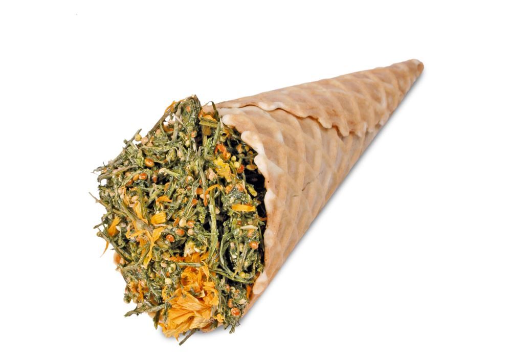 Jr Farm Kruidenijshoorntje