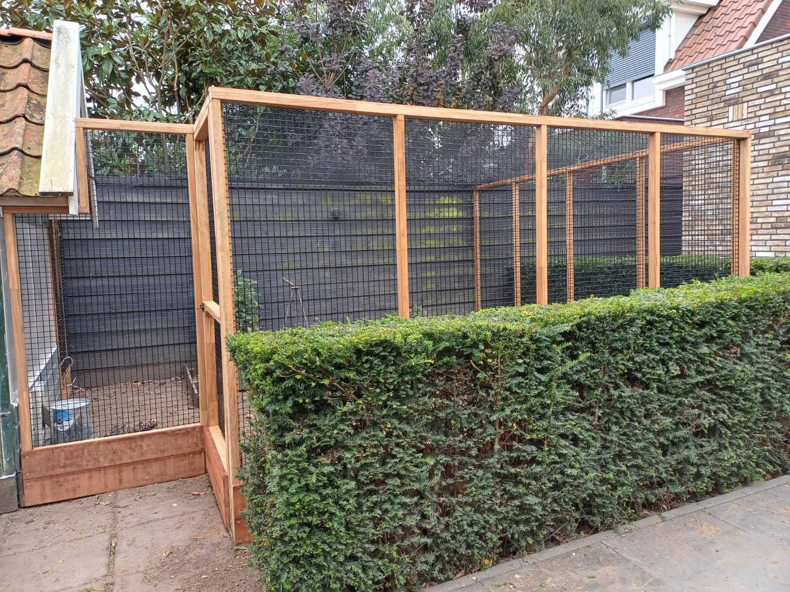 Kippenren van hardhout