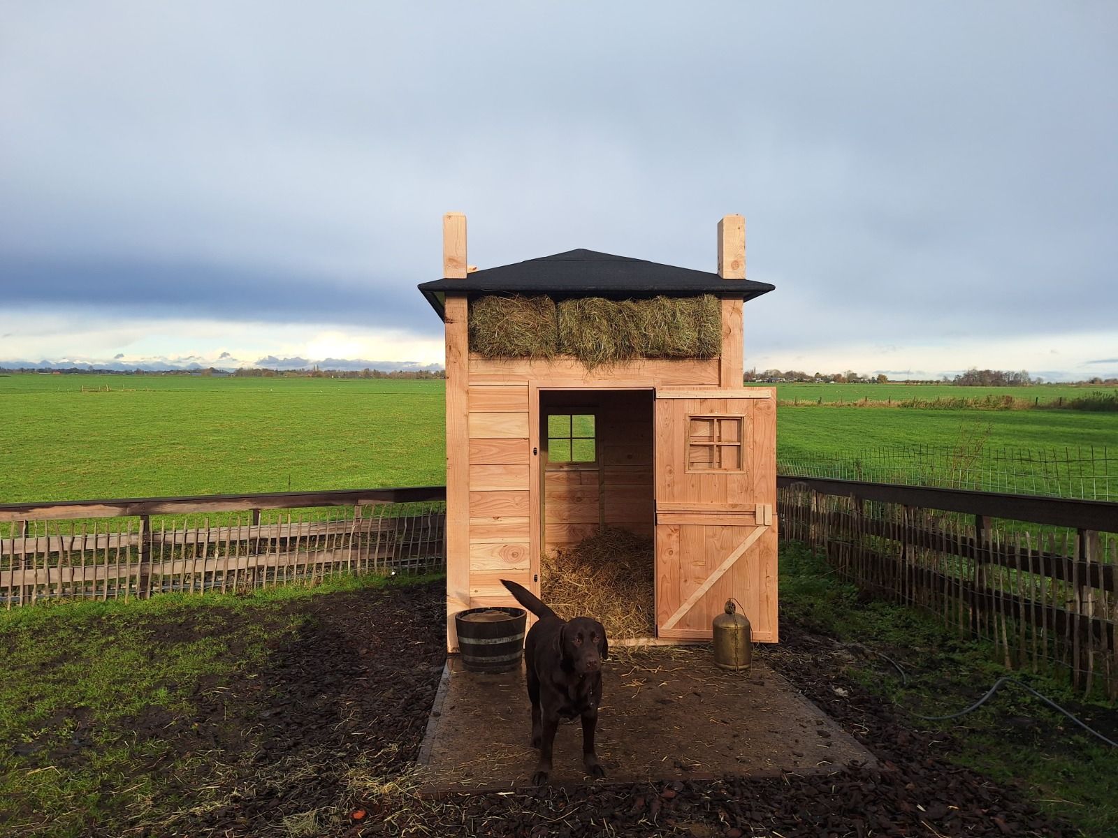 Kippenhok Hooiberg XXL nachthok blank Douglas