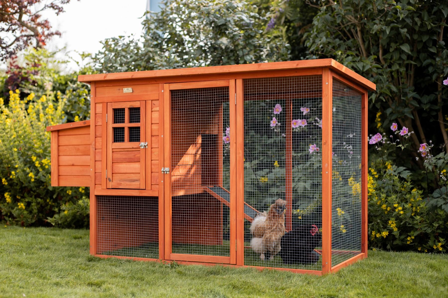 Kippenhok Wormerland