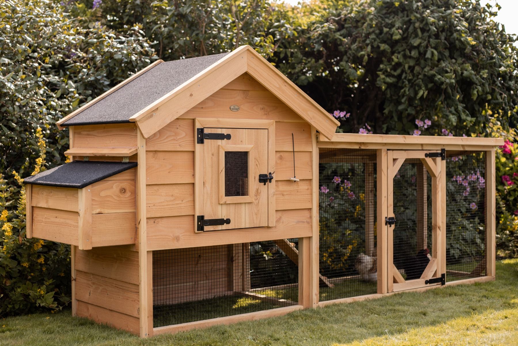 Kippenhok Elst Xl Douglas