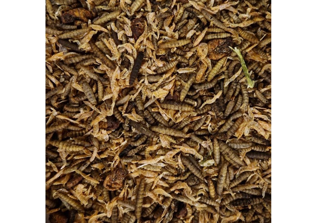 Kippensnack Insectenmix 5L