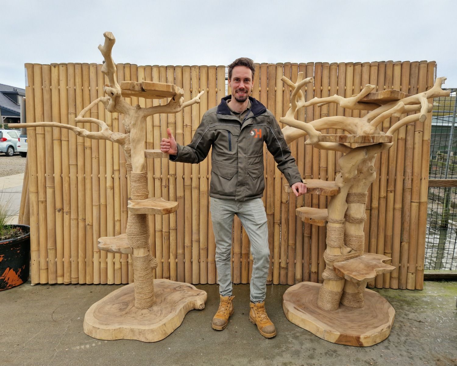 Javaboom met plateaus L