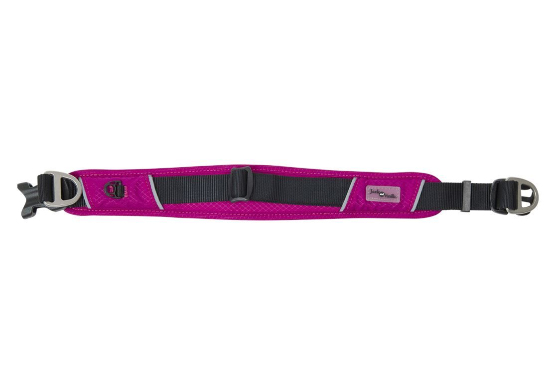 Honden Halsband Fuchsia