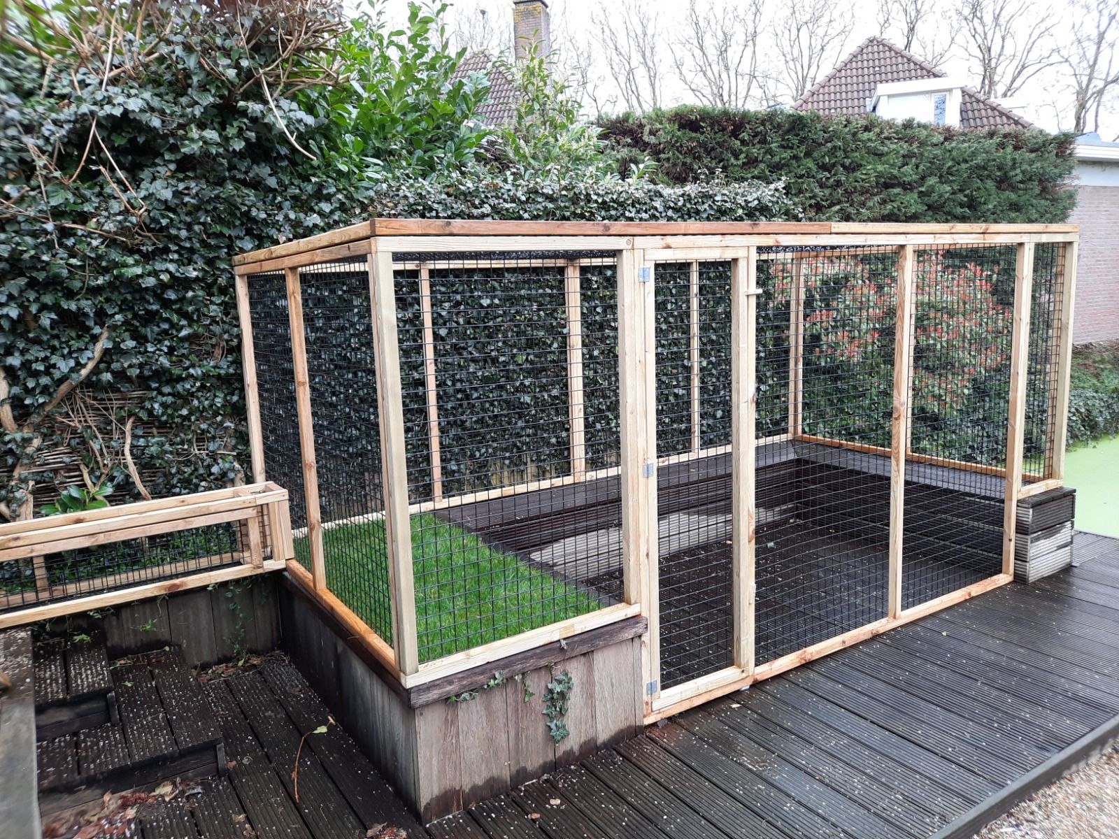 Kattenren Schoonhoven