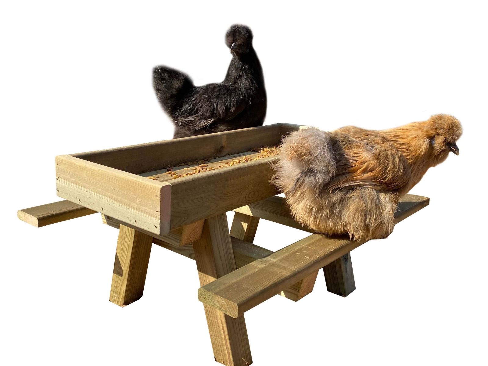 Kippiktafel: Picknicktafel voor kippen