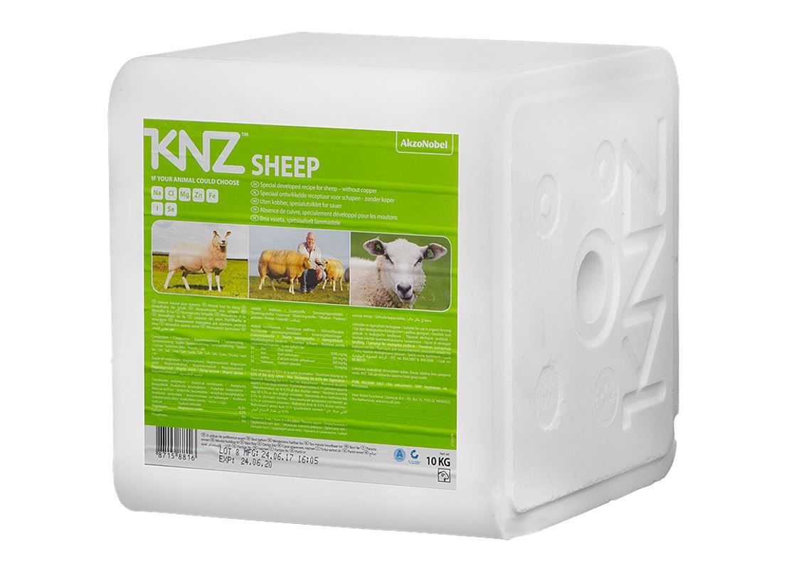 KNZ liksteen schaap