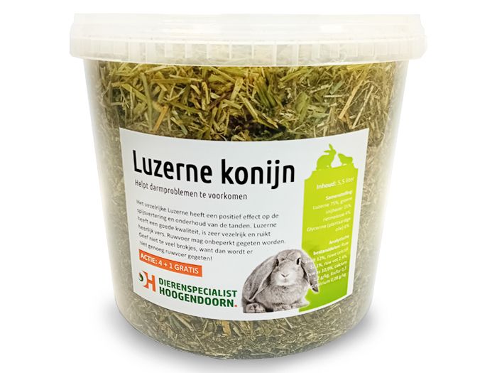 Luzerne konijn