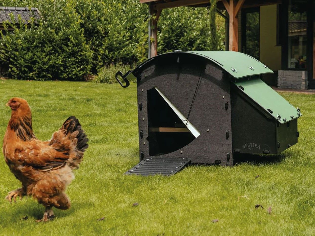 Kippenhok Nestera grondmodel M