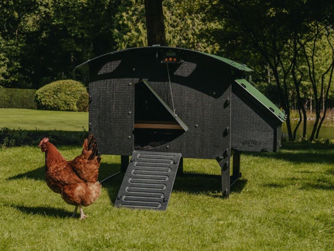 Kippenhok Nestera op pootjes L