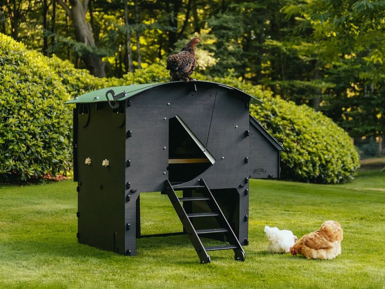 Kippenhok Nestera verhoogd L