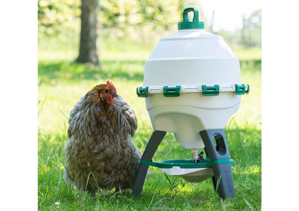 Sifondrinker Optimus