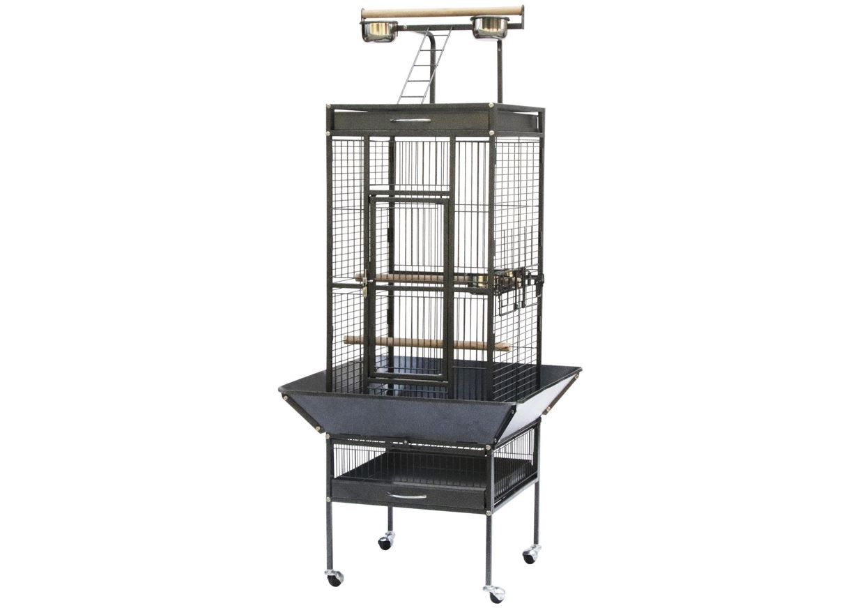 KIO PAPEGAAI/VOGEL KOOI 67*67*155CM