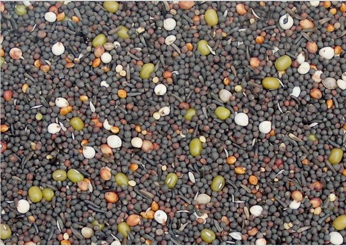 Fijn kiemzaad voor vogels 2.5L