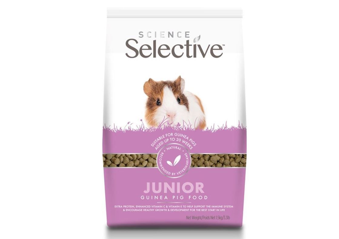Selective Guinea Pig Junior