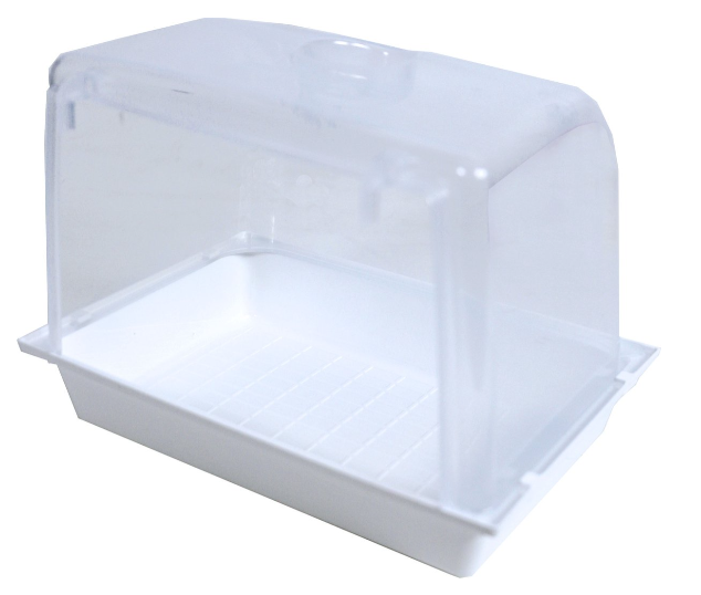 Badhuis transp./wit Agapornide groot