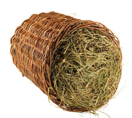 Wilgengrol groot 30cm