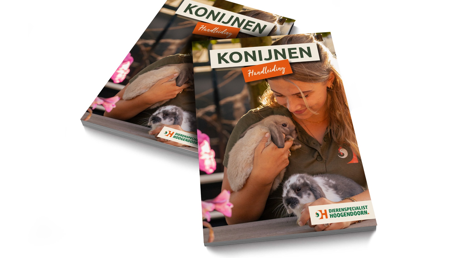 Handleiding konijn